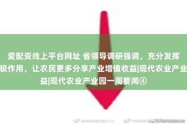 爱配资线上平台网址 省领导调研强调，充分发挥农业产业园积极作用，让农民更多分享产业增值收益|现代农业产业园一周要闻④