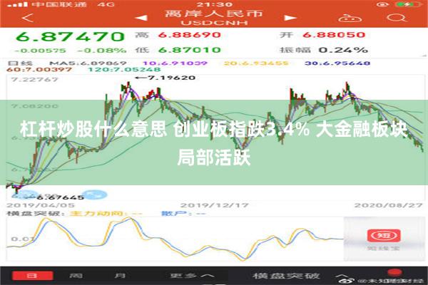 杠杆炒股什么意思 创业板指跌3.4% 大金融板块局部活跃