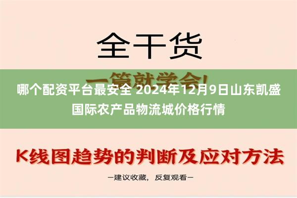 哪个配资平台最安全 2024年12月9日山东凯盛国际农产品物流城价格行情