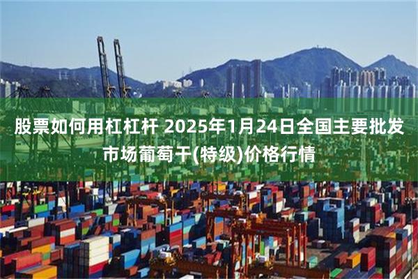 股票如何用杠杠杆 2025年1月24日全国主要批发市场葡萄干(特级)价格行情