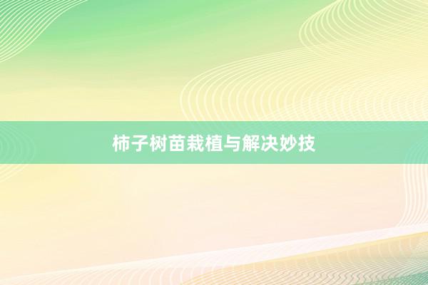 柿子树苗栽植与解决妙技